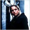 O Diário de Bridget Jones : foto