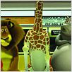 Madagascar : foto