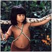 Tainá - Uma Aventura na Amazônia : foto