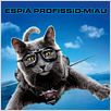 Como Cães e Gatos 2 - A Vingança de Kitty Galore : foto