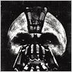 Batman - O Cavaleiro das Trevas Ressurge : Poster
