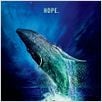 As Aventuras de Pi : poster