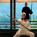 Elektra : foto Jennifer Garner, Terence Stamp
