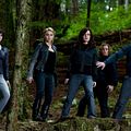 A Saga Crepúsculo: Eclipse : Foto Ashley Greene, David Slade, Elizabeth Reaser, Jackson Rathbone, Nikki Reed