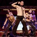Magic Mike : foto Adam Rodriguez, Channing Tatum, Joe Manganiello, Matt Bomer