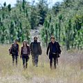 Foto Billy Burke, Daniella Alonso, Tracy Spiridakos, Zak Orth