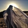 O Dançarino do Deserto : Foto Freida Pinto