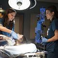 Foto Jeananne Goossen, Jill Flint