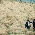The Lobster : Foto Colin Farrell, Rachel Weisz