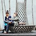 O Plano de Maggie : Foto Ethan Hawke, Greta Gerwig