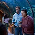Pai em Dose Dupla : Foto Mark Wahlberg, Will Ferrell