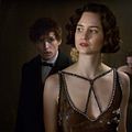 Animais Fantásticos e Onde Habitam : Foto Eddie Redmayne, Katherine Waterston