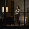 Animais Noturnos : Foto Amy Adams