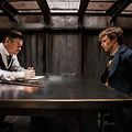 Animais Fantásticos e Onde Habitam : Foto Colin Farrell, Eddie Redmayne