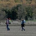 O Caminho : Foto Deborah Kara Unger, James Nesbitt, Martin Sheen, Yorick Van Wageningen
