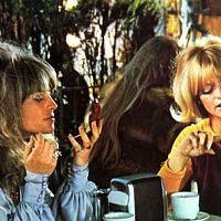 Shampoo : Foto Goldie Hawn, Hal Ashby, Julie Christie