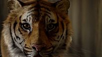 <strong>As Aventuras de Pi</strong> clip (3) Legendado