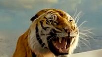 <strong>As Aventuras de Pi</strong> Making of (3) Legendado