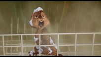 Alvin e os Esquilos: Na Estrada Trailer (2) Original