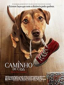 A Caminho de Casa