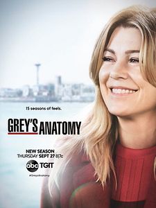 Grey's Anatomy: Guia de temporadas - AdoroCinema