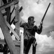 Assim Caminha a Humanidade : Foto