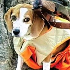 Tiros em Columbine : Foto