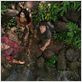 Viagem 2 - A Ilha Misteriosa : foto Josh Hutcherson, Luis Guzman, Vanessa Hudgens