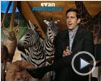 Interview 1 - English Interview 1 - English