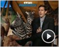 Steve Carell, Lauren Graham, Tom Shadyac Interview : A Volta do Todo Poderoso