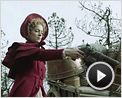 Linhas de Wellington clip