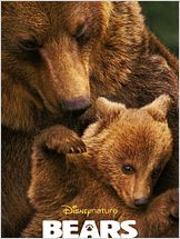 Bears Bears