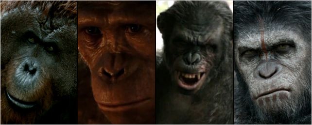Quem é quem em Planeta dos Macacos: O Confronto Quem é quem em Planeta dos Macacos: O Confronto