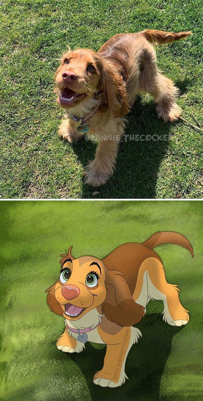 Artista Transforma Animais Da Vida Real Em Fofos Desenhos Da Disney