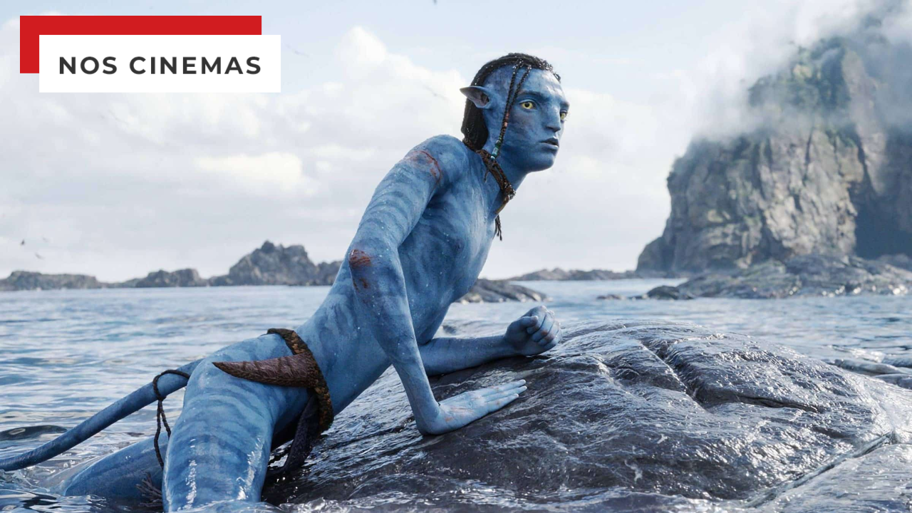 Ele J Viu Avatar Cem Vezes No Cinema E James Cameron O Recompensa