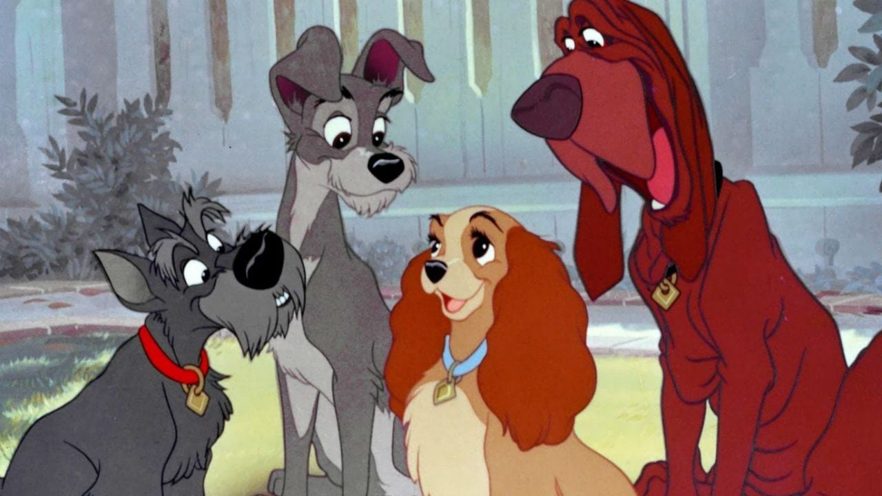 A Dama e o Vagabundo Confira fotos inéditas dos fofos cachorros do liveaction AdoroCinema A Dama e o Vagabundo Confira fotos inéditas dos fofos cachorros do liveaction AdoroCinema