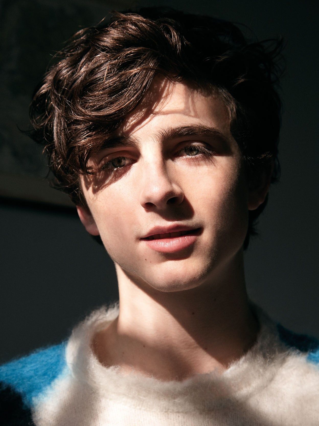 Timothée Chalamet - AdoroCinema