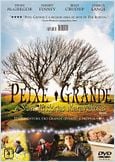 Peixe Grande e Suas Histórias Maravilhosas
