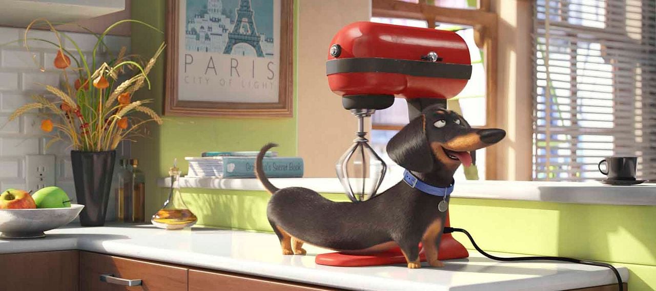 Pets - A Vida Secreta dos Bichos : Foto