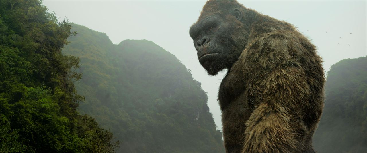Kong: A Ilha da Caveira : Foto