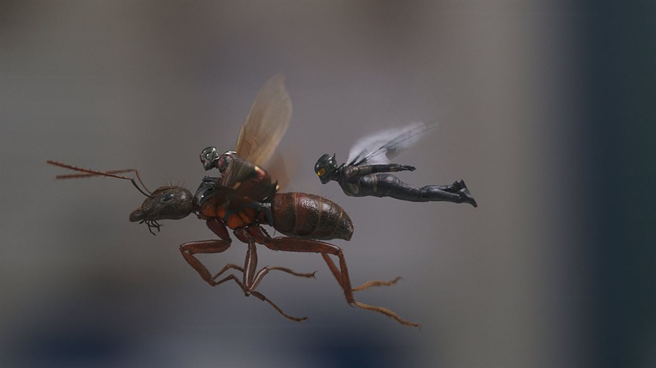 Homem-Formiga e a Vespa : Foto Paul Rudd