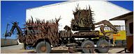Caveiras e máquinas de guerra no cenário pós-apocalíptico de Mad Max: Fury Road
