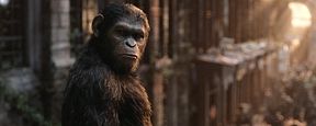 Concurso de Críticas: Conheça o autor do melhor texto sobre Planeta dos Macacos: O Confronto Concurso de Críticas: Conheça o autor do melhor texto sobre Planeta dos Macacos: O Confronto