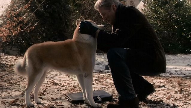 <strong>Sempre ao Seu Lado</strong> Trailer Original