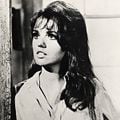 Foto Suzanne Pleshette