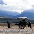 Foto Samira Makhmalbaf
