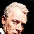 Foto Max von Sydow