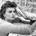 Foto Sophia Loren