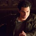 Foto Michael Malarkey