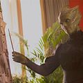 Foto Neve McIntosh